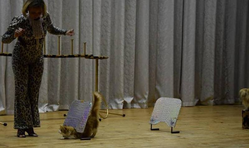 29513079_359588887875880_4281133813176914374_n