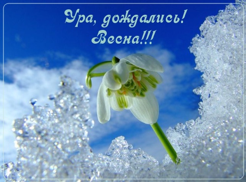 Ура, дождались весны!