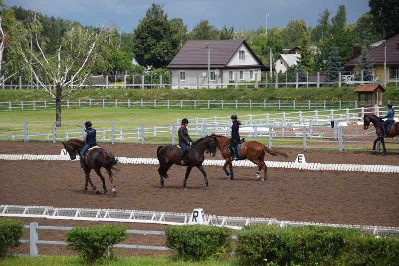 66170986_643427832825316_4788909095048445952_o