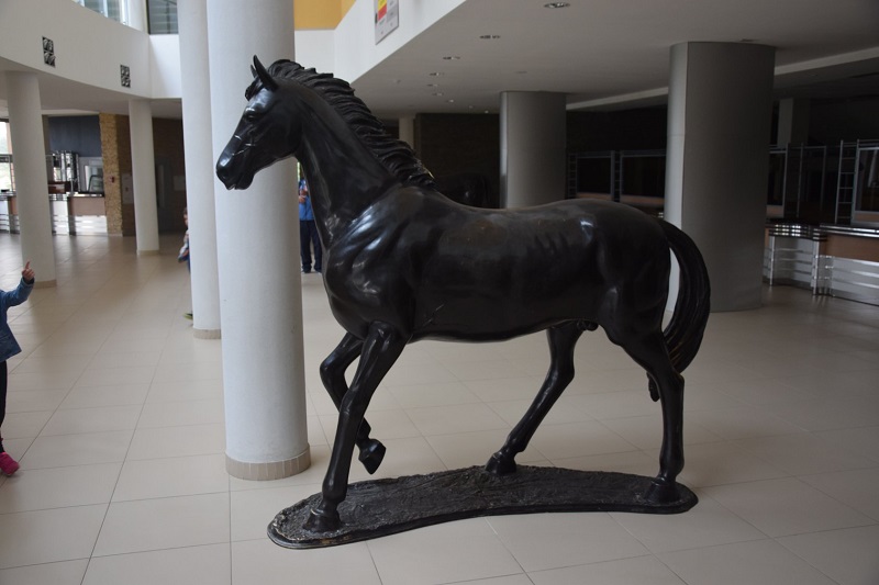 66490666_643427652825334_6349033957908021248_o