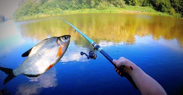 Рыболовный турнир «РЫБАЦКАЯ БУХТА» в ОЦ «Алеся»