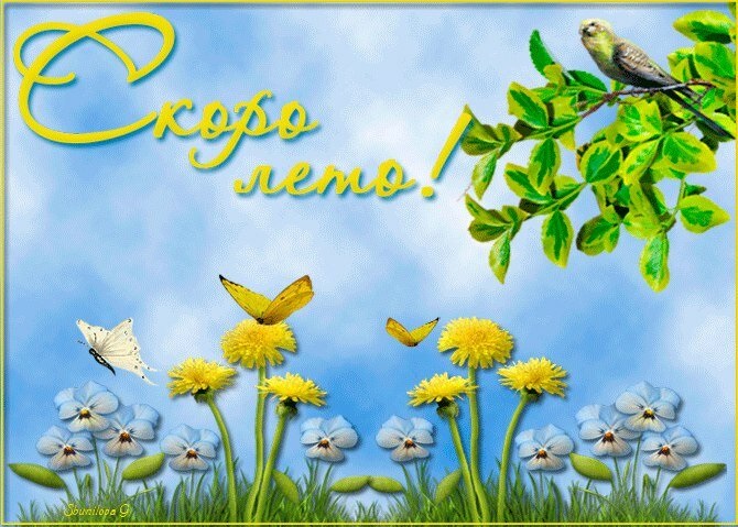 Нет новости чудеснее на свете, чем весть о приближающемся лете!