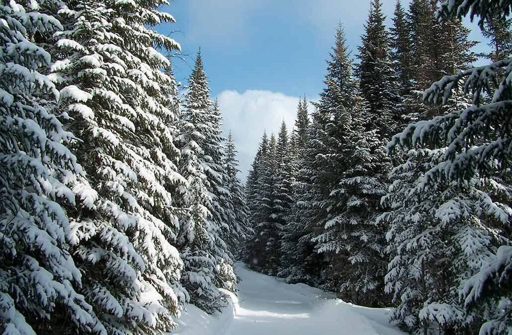 Зима! Зима! Зима!