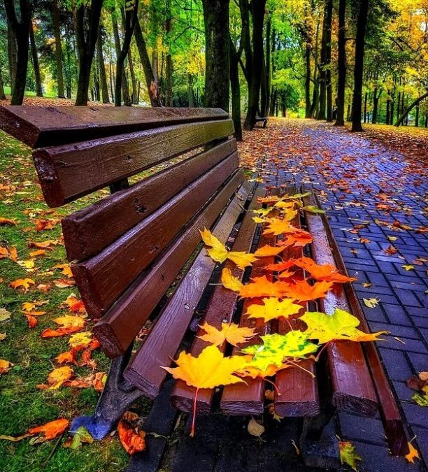 Осень, осень, осень снова к нам пришла!