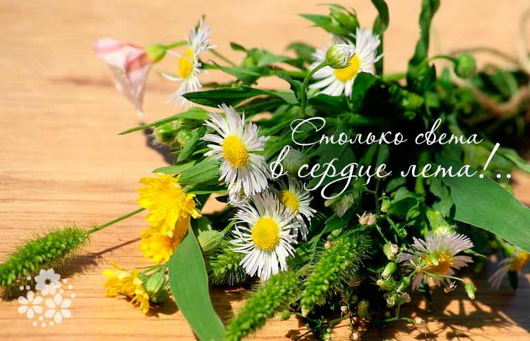 Солнечно, радостно, классно — лето пришло не напрасно!