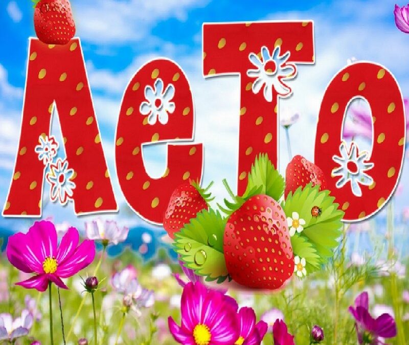 Нескучные каникулы в «Алесе»