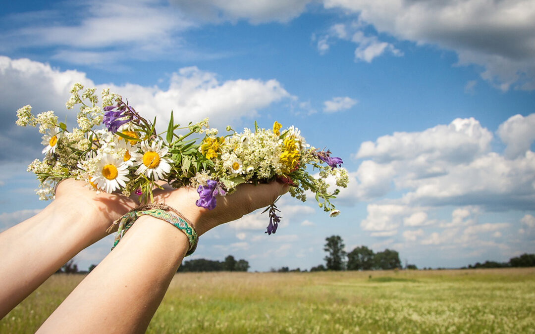 Что на градуснике? Лето! Август!